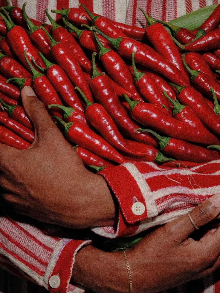 Manos sosteniendo chiles rojos a granel